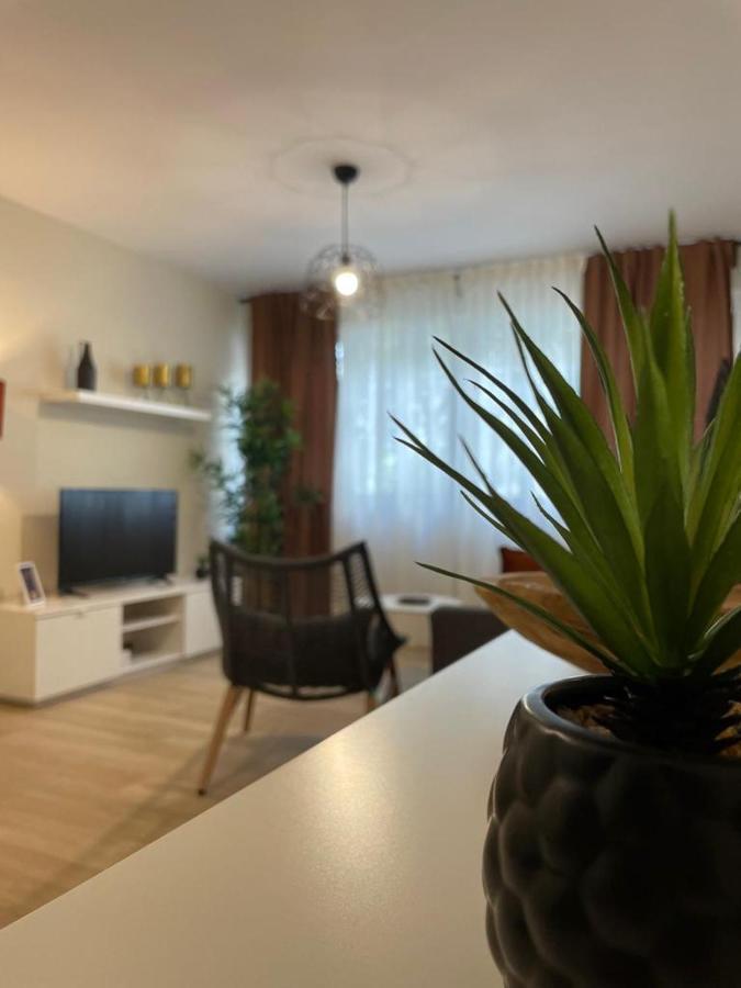 Apartamento Jerez 2022 Jerez de la Frontera Bagian luar foto